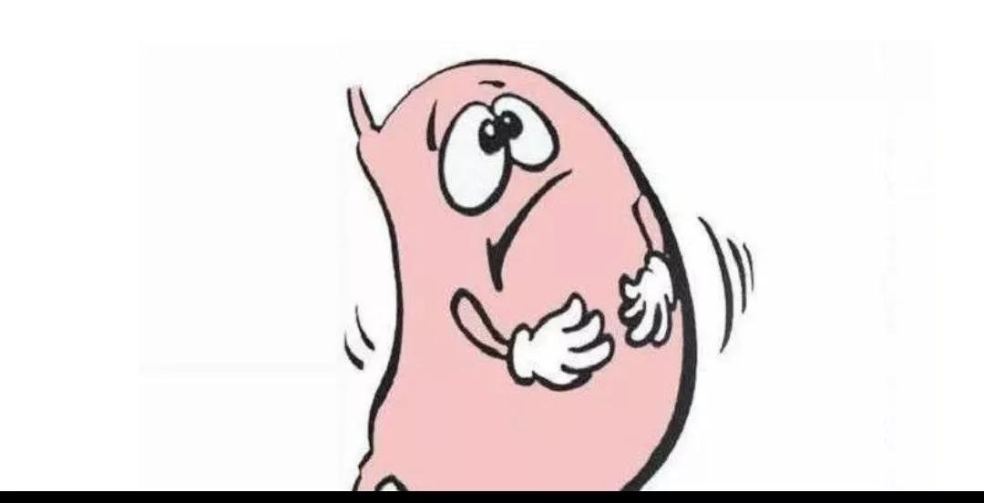 慢性胃炎为什么那么难好,慢性胃炎经常犯怎么办