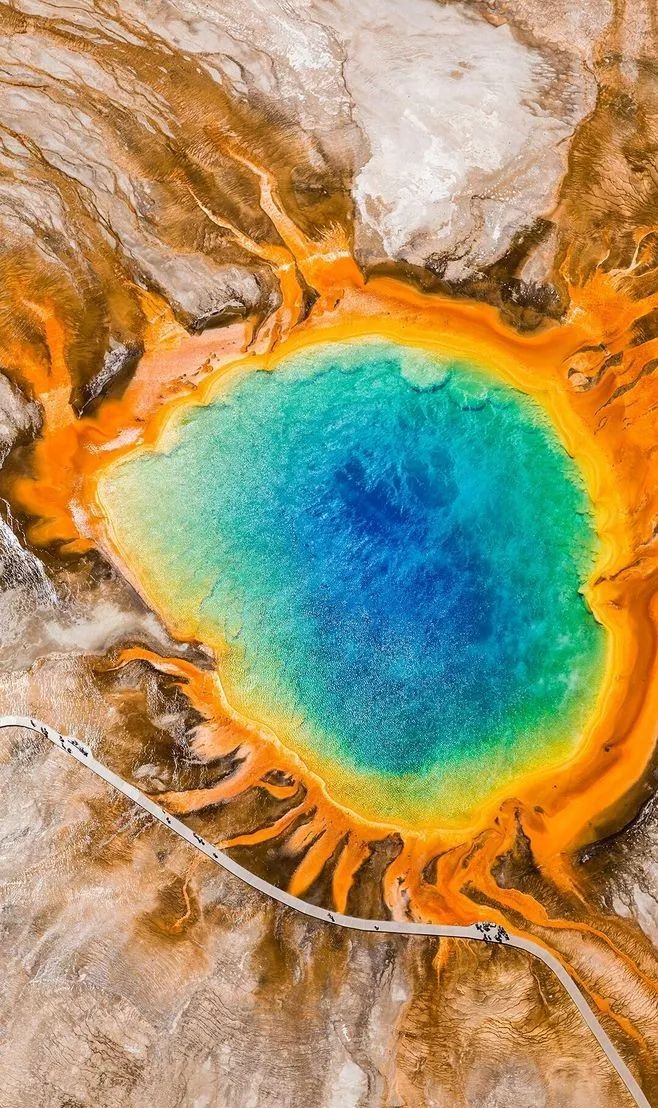 女神节有无与伦比的美丽,女神节浪漫游花海