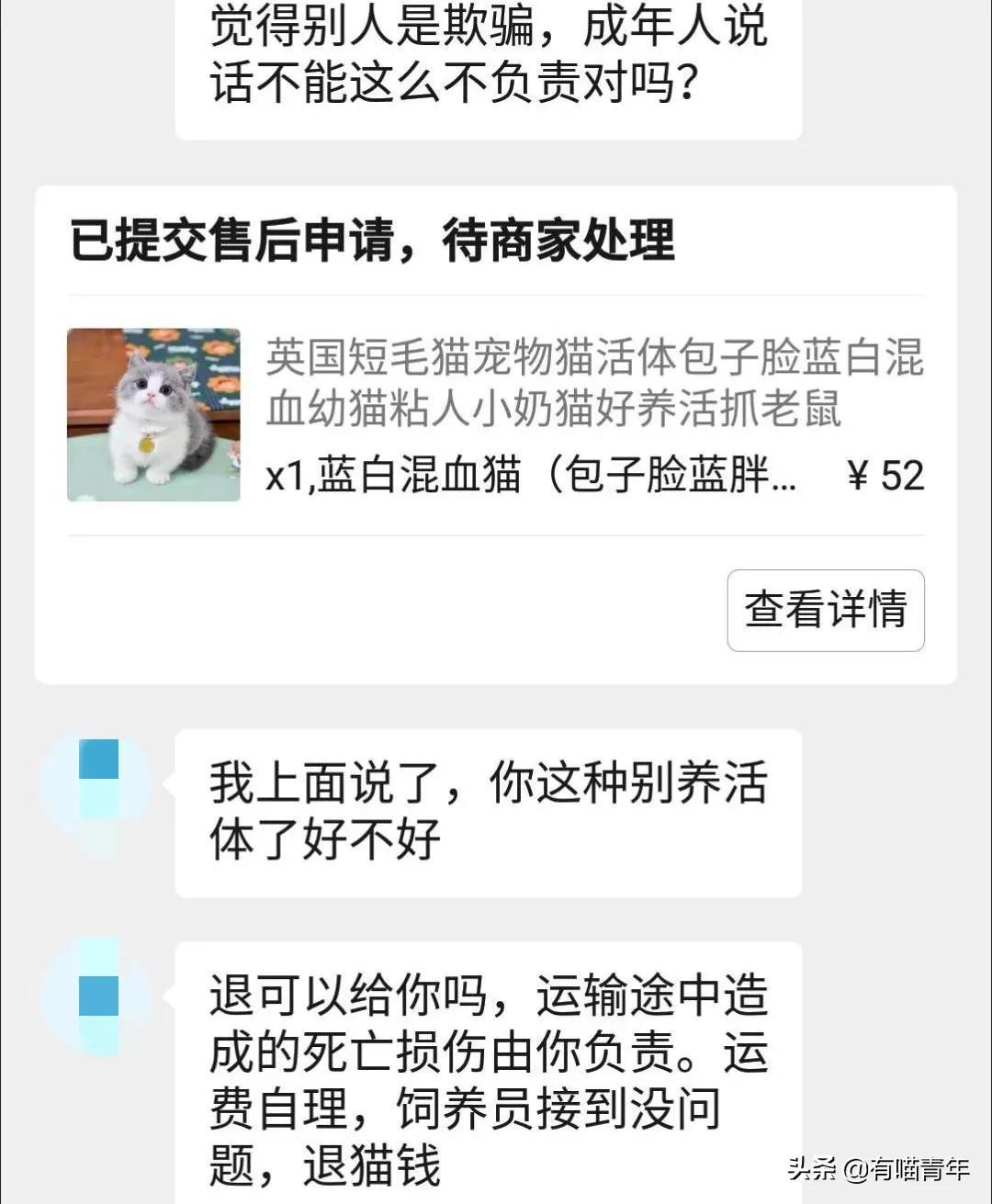 pdd买猫和老鼠,pdd两百买的猫