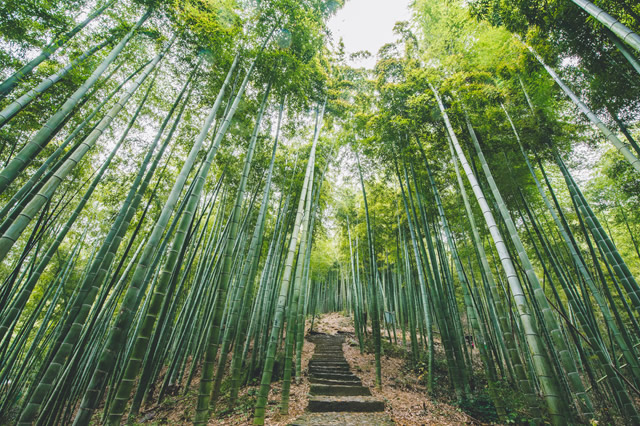 湖州三日游去哪里最好,湖州周边一日游好去处