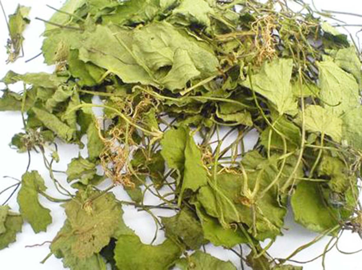 以前的杂草丛生现在已是世外桃源,崩大碗药用价值及图片