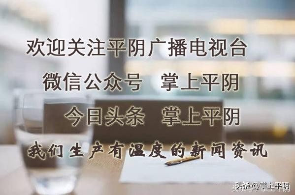 让政商线上直通，提供高效公共服务！“在平阴您放心”便民利企平台上线……