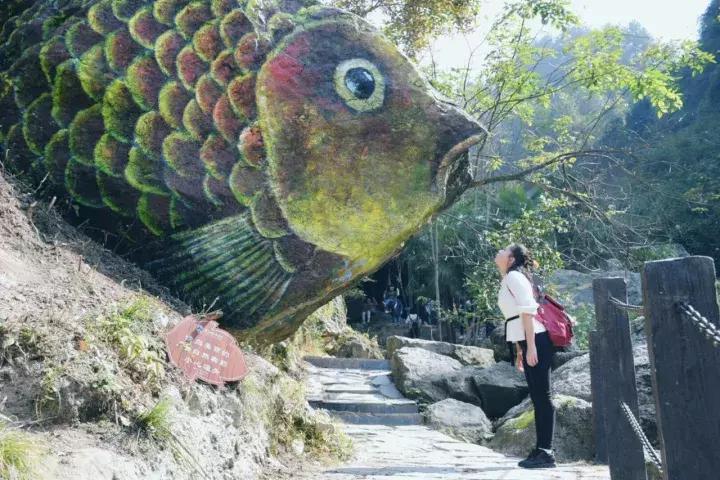 平江碧龙峡景区值得去玩吗,平江碧龙峡全长多少公里
