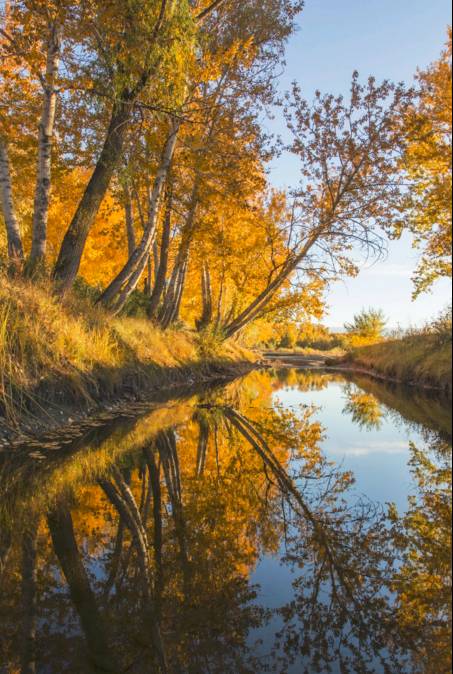 阿勒泰秋天有多美,秋天的新疆阿勒泰太美