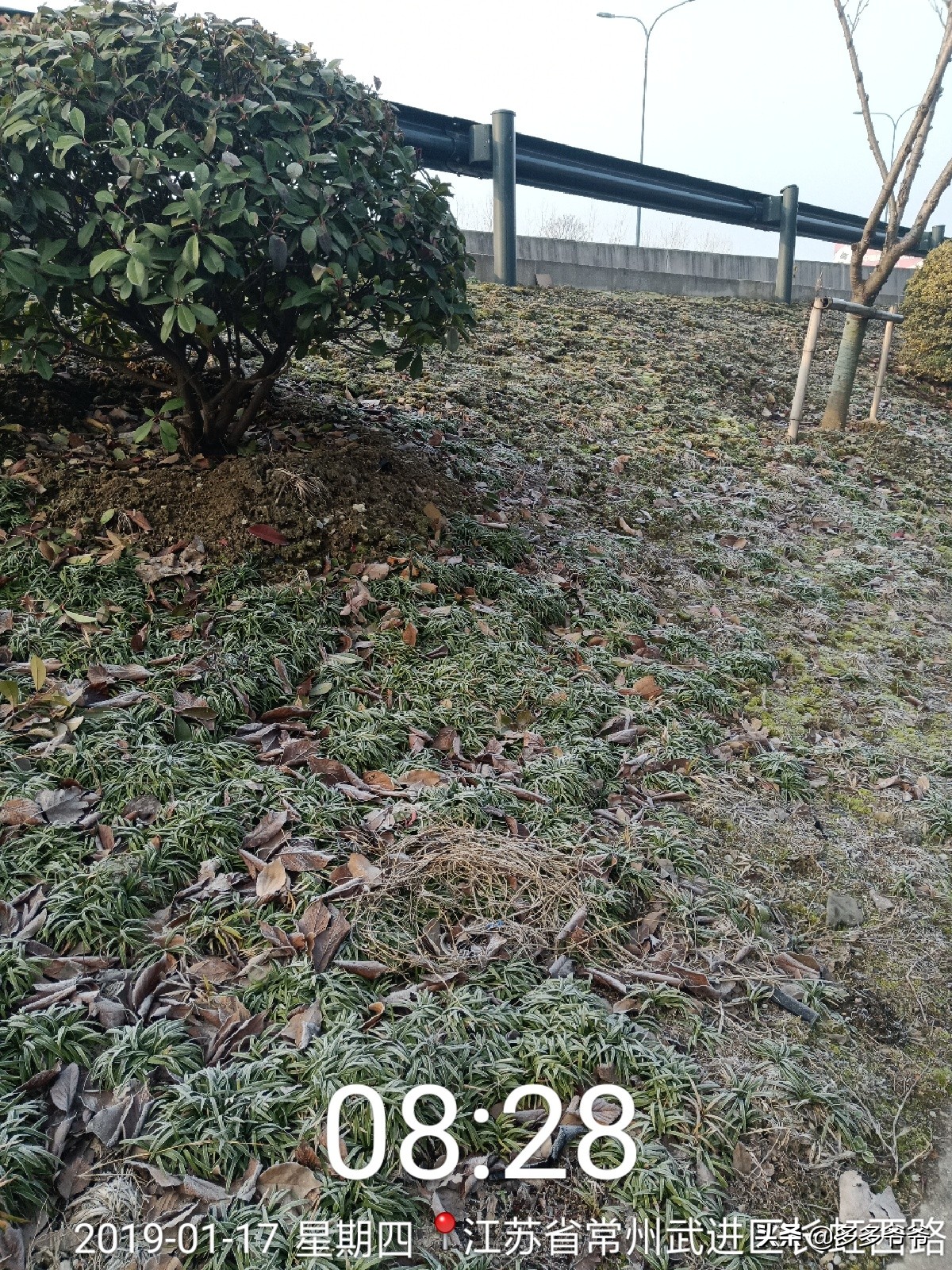 常州武进区夏溪小学,江苏省常州市武进区夏溪小学