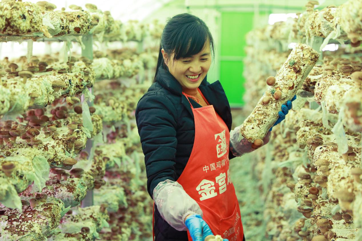 赫章县易地扶贫搬迁2批,赫章县河镇乡易地扶贫搬迁房