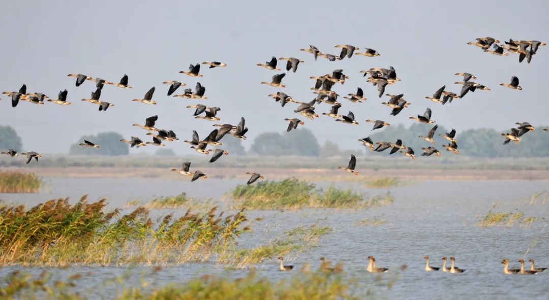 山东东营位置,这就是东营