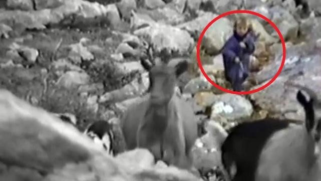 牧羊少年是如何把自己变成风的,牧羊少年传奇中场