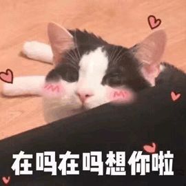 深圳海边旅游攻略民宿,深圳内超美海滩