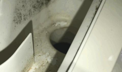 洗衣机发霉清洗方法滚筒,波轮洗衣机发霉处理小妙招