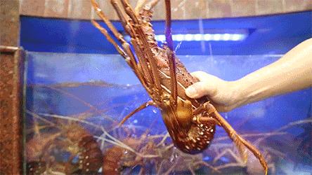 当地无人不知的几十年老店,无人不知的特色菜