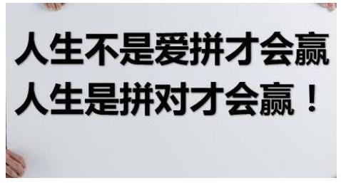 这个双十一不剁手，“零成本”创业想要的都买回家