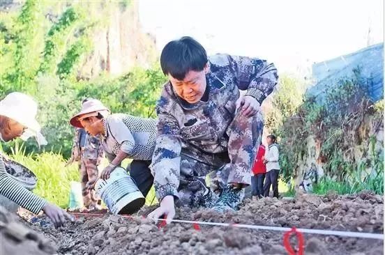 人民大会堂推销土豆，收1500个农民学生，10亿专利无偿送出，64岁的农民院士朱有勇火了！