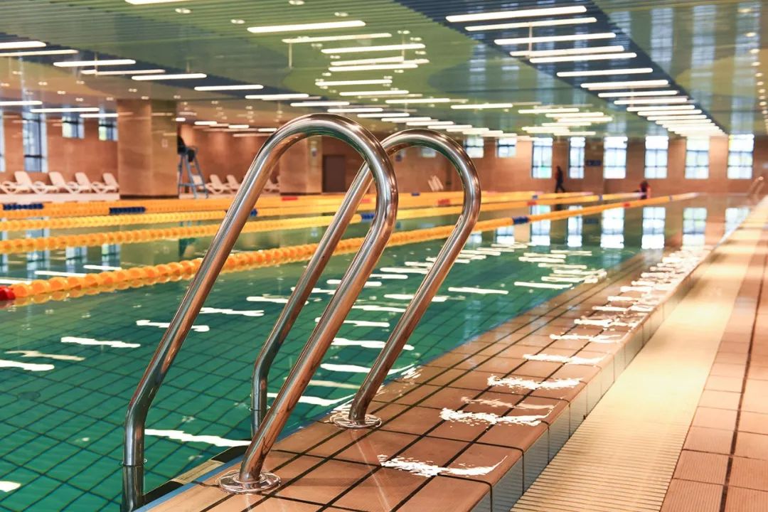 2020年水立方国际游泳邀请赛,2019年全国夏季游泳锦标赛