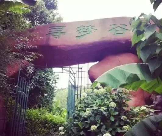 贵州最美农家乐,贵州这些藏在山间的诗意民宿