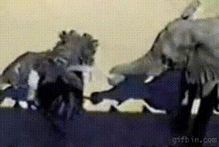 踢不到球的搞笑视频,踢不进球门搞笑名场面