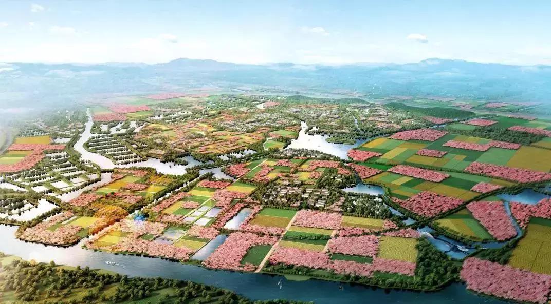 邹迎晞：“田园+乐园+家园”是田园综合体全产业链设计的实践之路