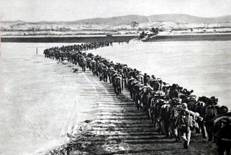 轻步兵三八线,轻步兵三三制