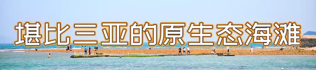 大鹏杨梅坑景区,杨梅坑旅游景点