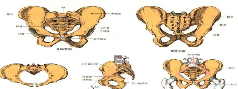 正骨整脊——骶髂关节的矫正手法介绍-第9部分1