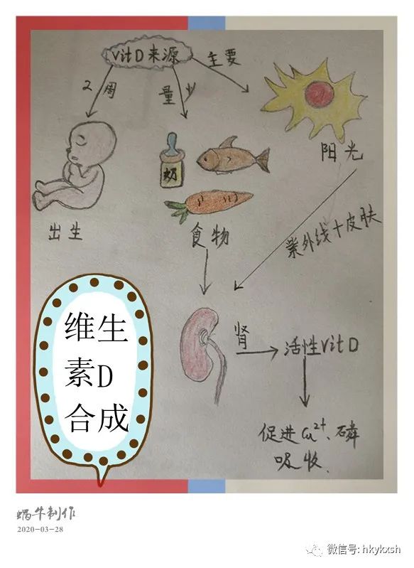 维生素d缺乏性佝偻病试题及答案,维生素d缺乏性佝偻病儿科护理学