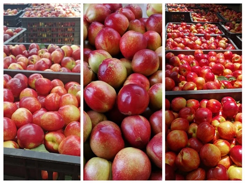 米易为阳光代言,为阳光代言