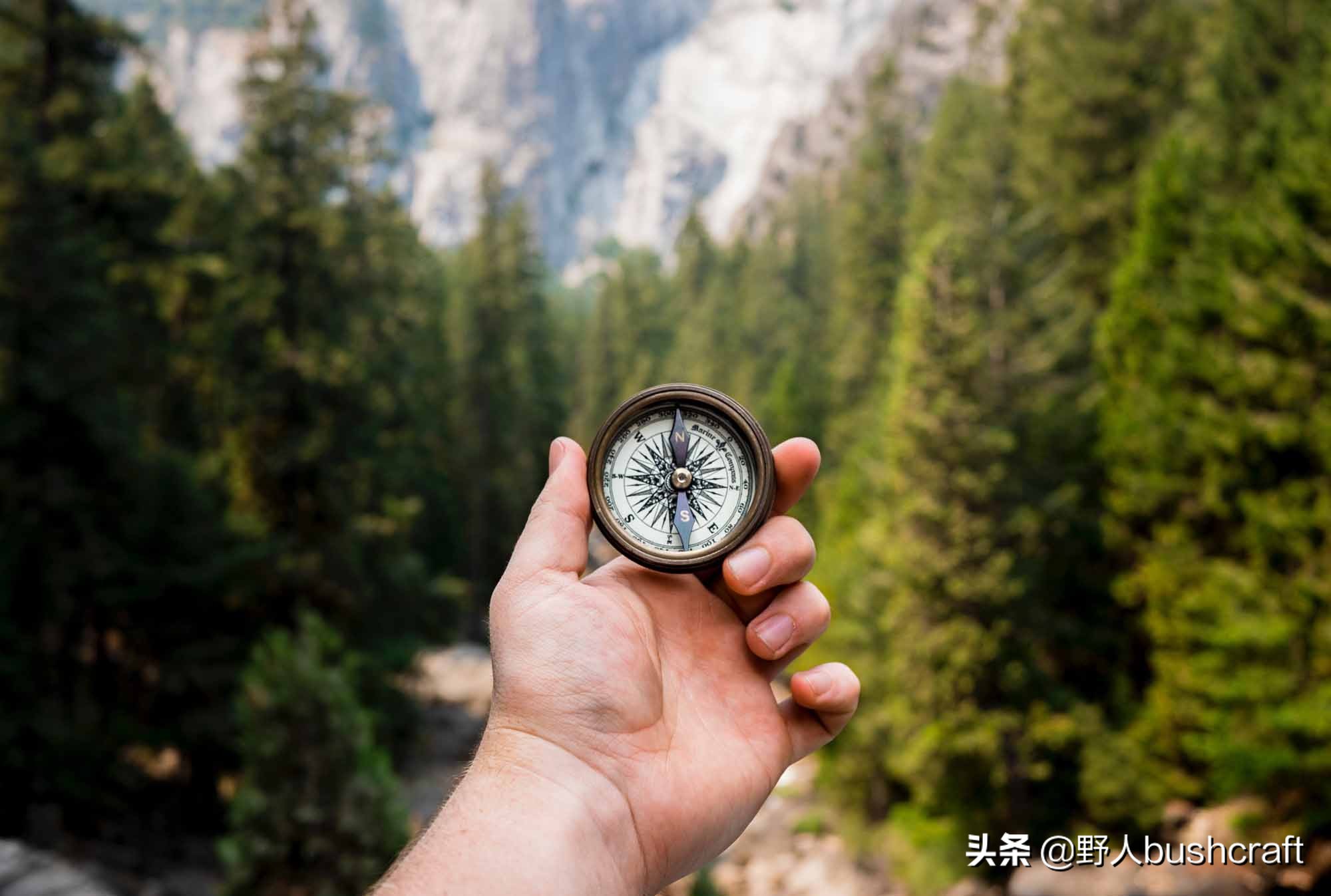 野外迷路树叶稠的一面是什么方向,野外迷路怎么寻找正确求生路线