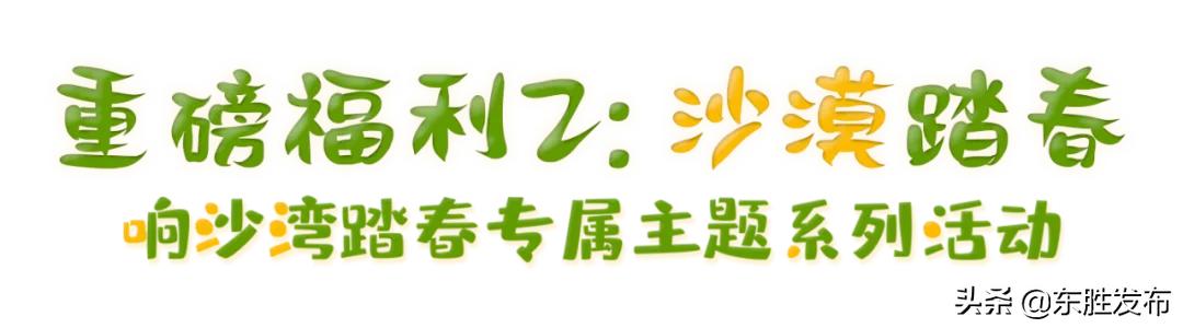 清明去哪里玩鄂尔多斯,鄂尔多斯清明