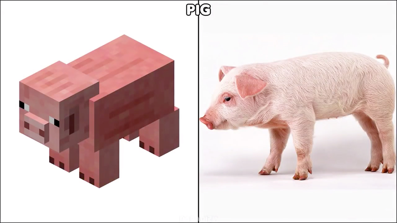 我的世界真人版合集新出的,我的世界现实版史蒂夫