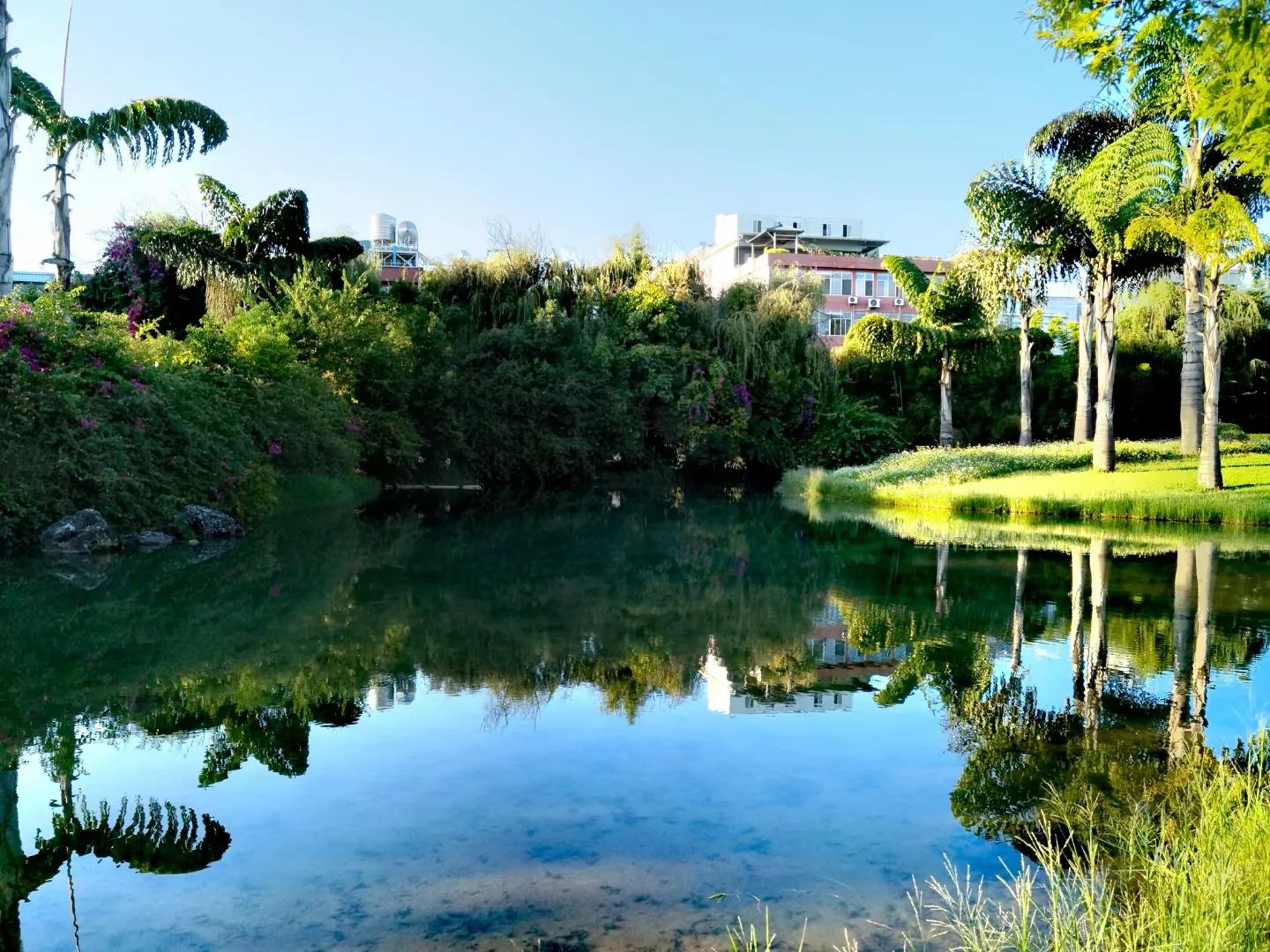 重庆阿姨弥勒看房记，浅谈养老是买房还是租？