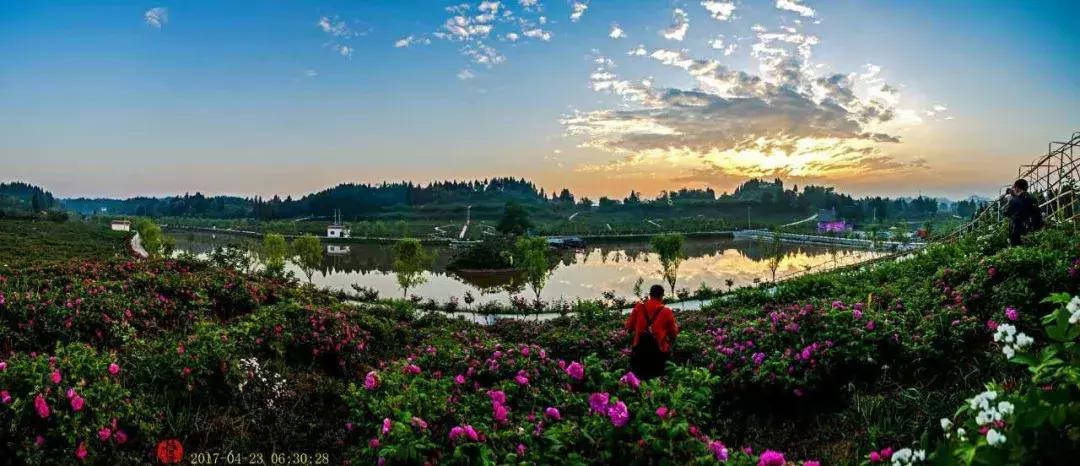 学历最高的农民,中国学历最高的农民