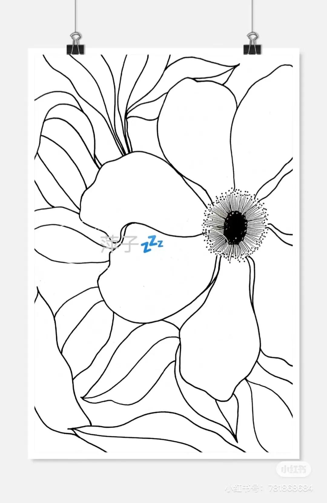 花卉简单线描创意画,花草线描画装饰