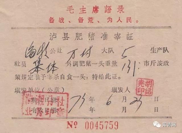 毛主席时代的票证大全！家里还留着这种的有福了
