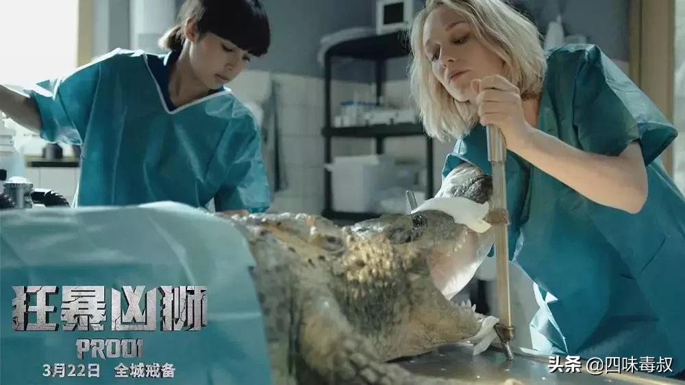 冲这狂野劲儿,特效我给3分,人心解剖我给6分