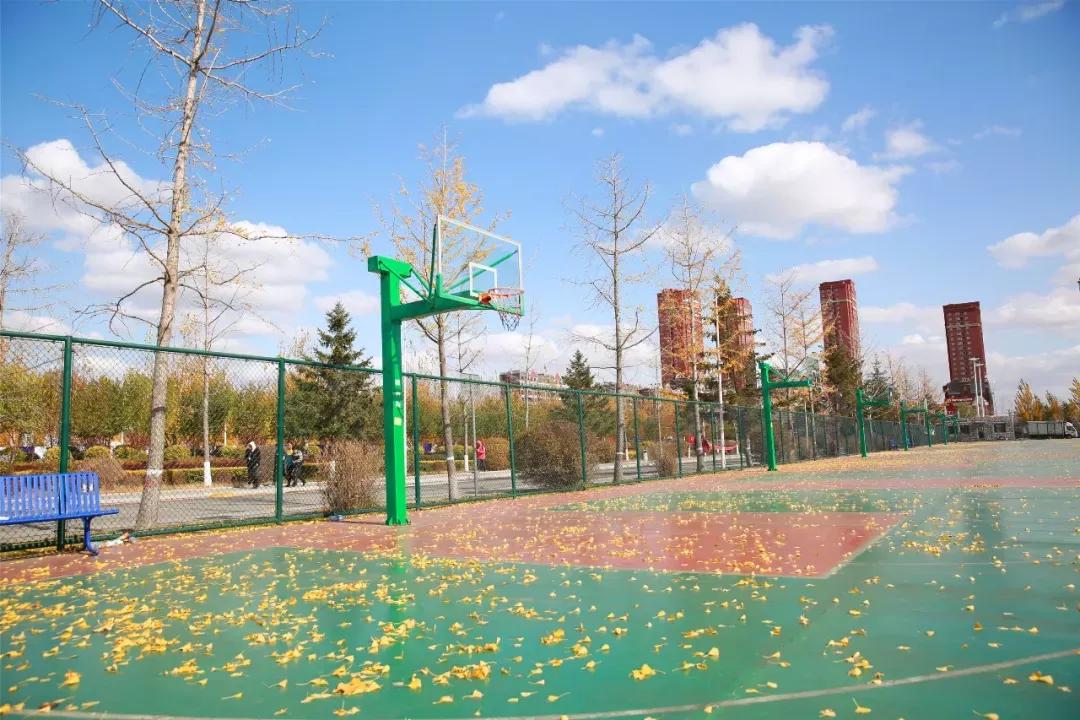 辽宁中医药大学杏林学院有独卫吗,辽宁中医药大学杏林学院属于3+2吗