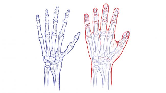 手的正确画法怎么画,手怎么画最简单的画法