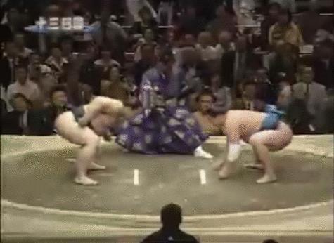 这个日本万人敬仰的小哥，要成为蒙古国总统了？