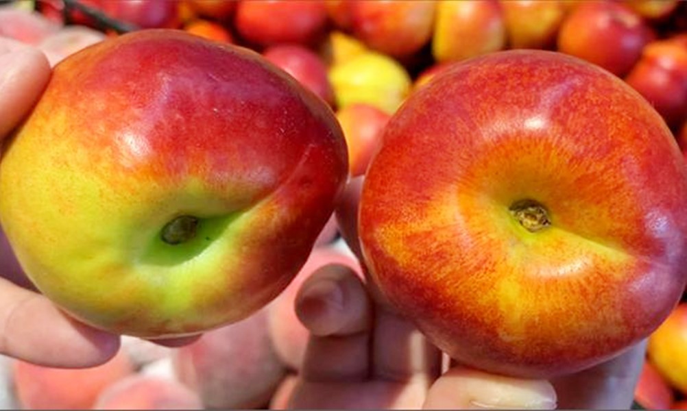 鍠滄鍚冩瀛愮殑浜烘敞鎰忓暒,鐖卞悆妗冨瓙鐨勮鐣欐剰