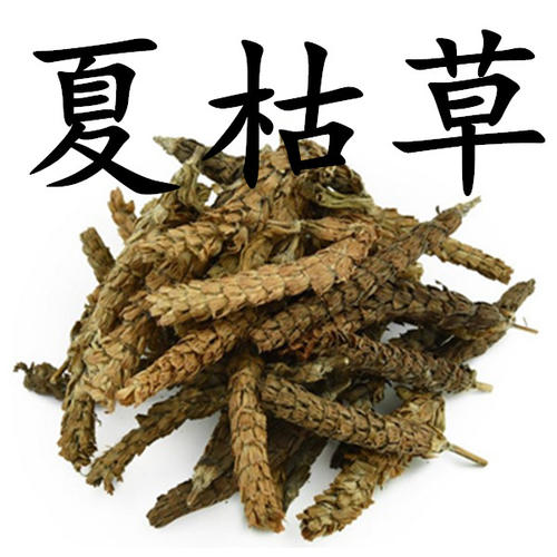 夏枯草口服液有护肝脏作用吗,夏枯草配什么药能保肝护肝