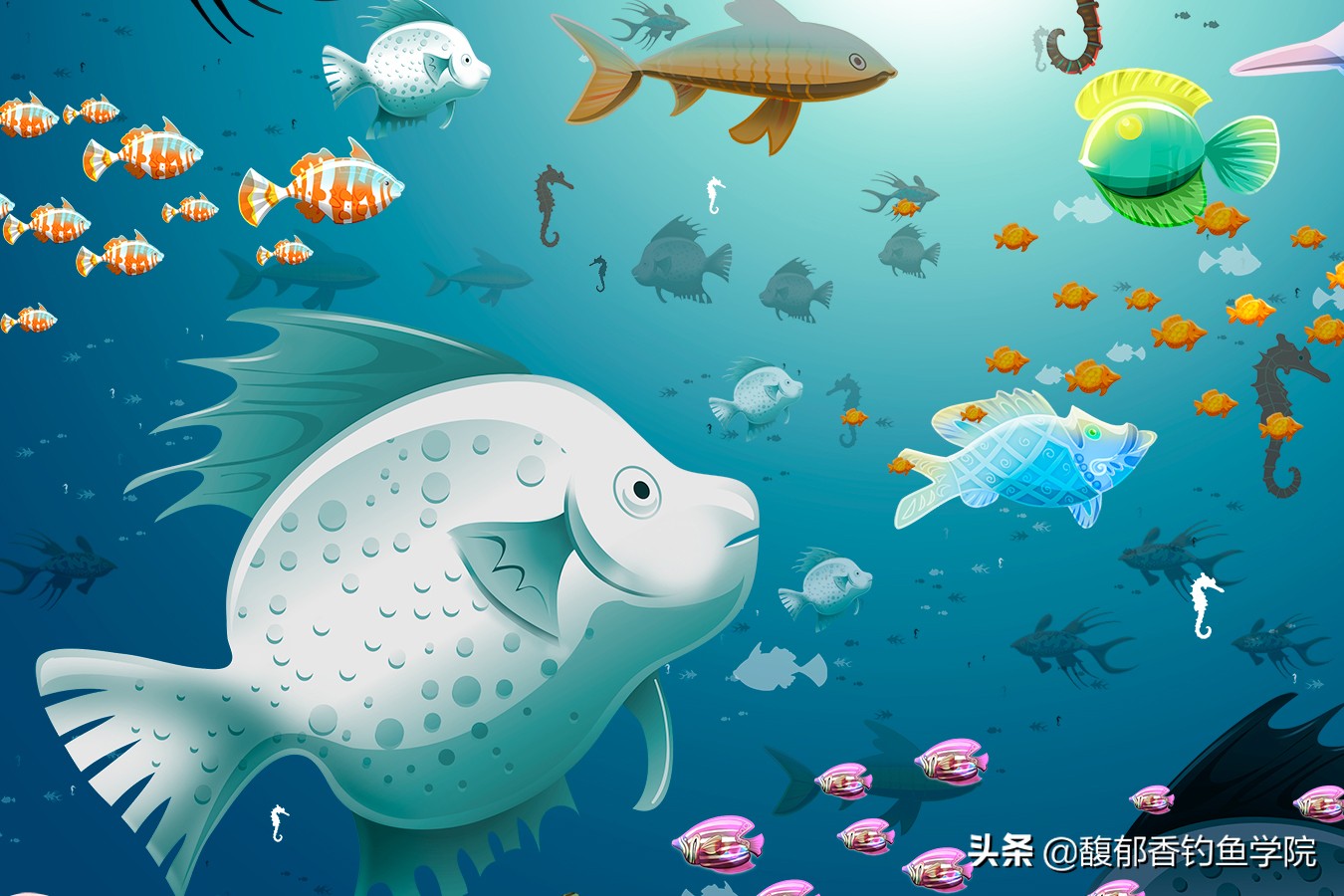 鱼聚在一起是怎么了,鱼为什么会聚集在一起