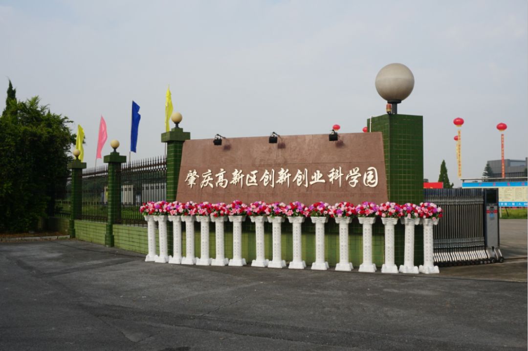 最高可享受500万扶持资金！肇庆这个地方吸引超46000名人才，都使了哪些“大招”？