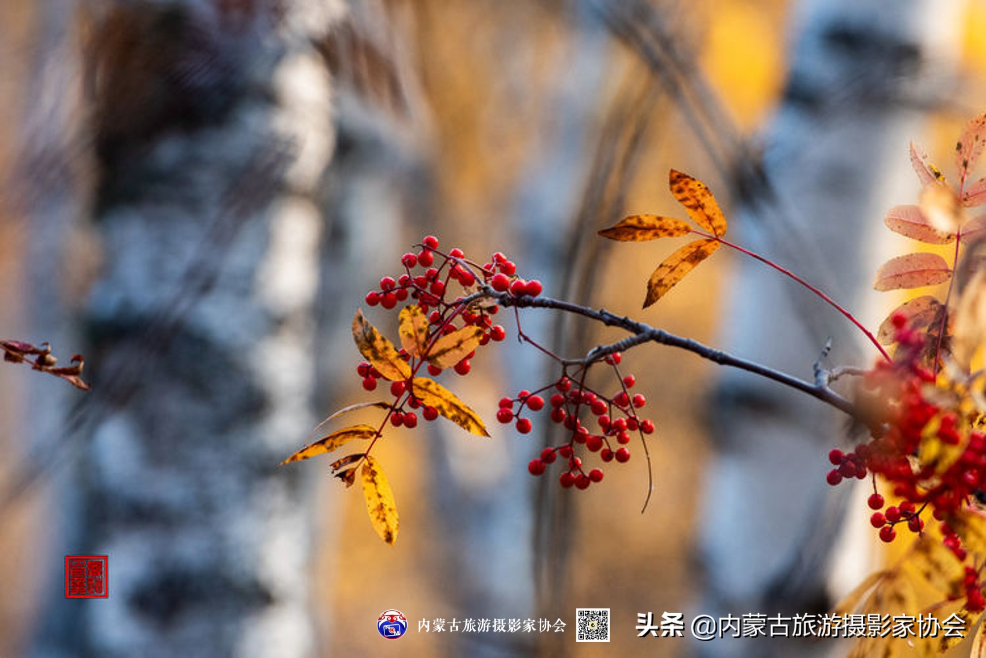 那山那水那味道,那山那水那份爱