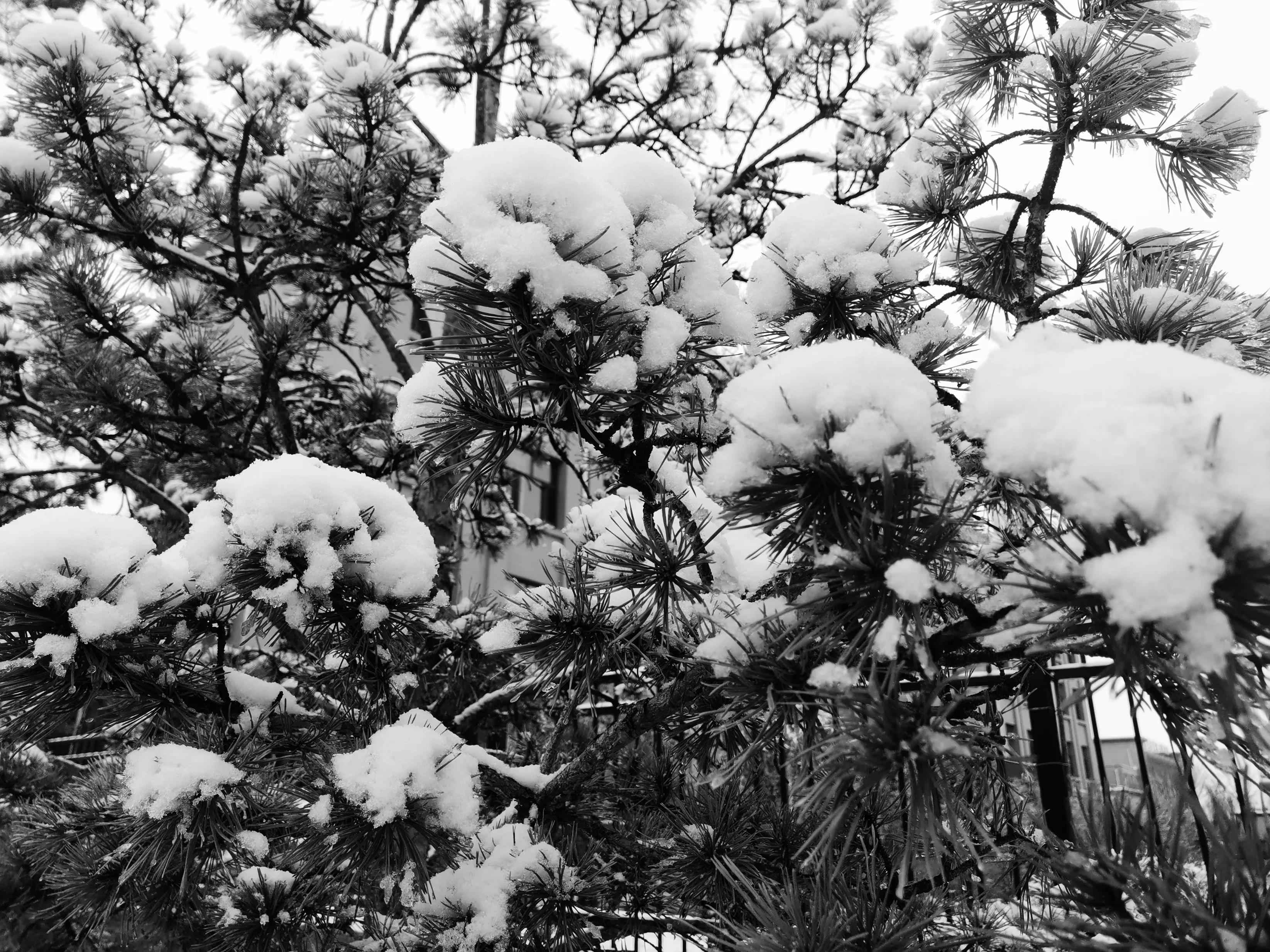 缁ｉ瀷鍨効瑙嗛,缁ｉ瀷鍨効