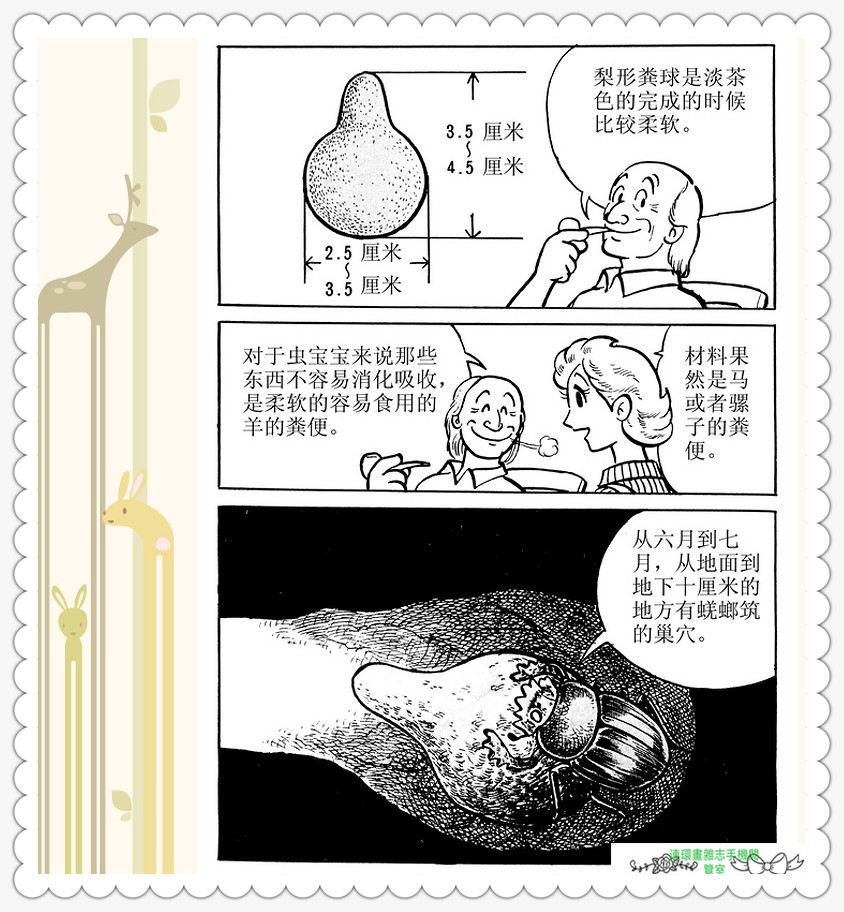 昆虫记法布尔动画片,昆虫记法布尔全套