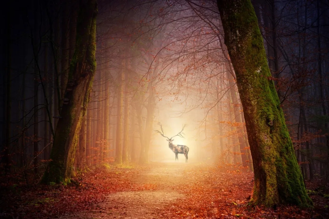 如何走出强迫情绪,抑郁症要怎么自己调节心理