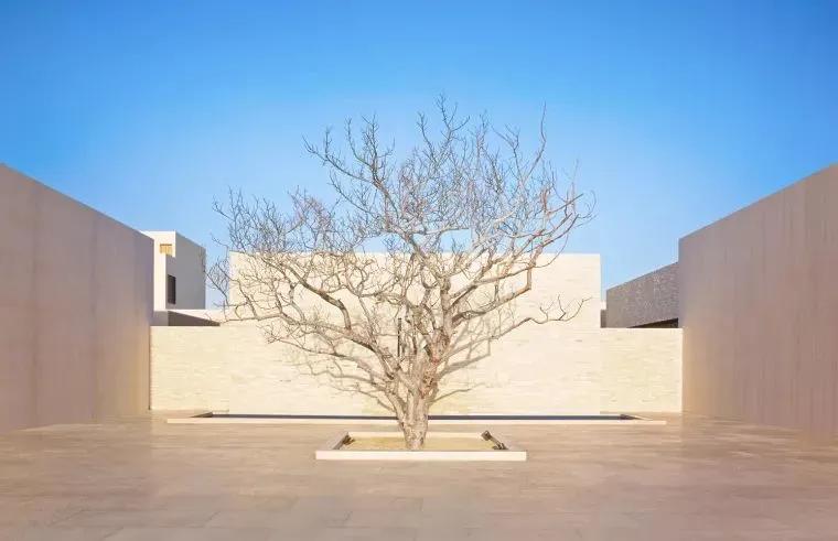 c罗马德里开的酒店,c罗在他的老家开的哪个酒店