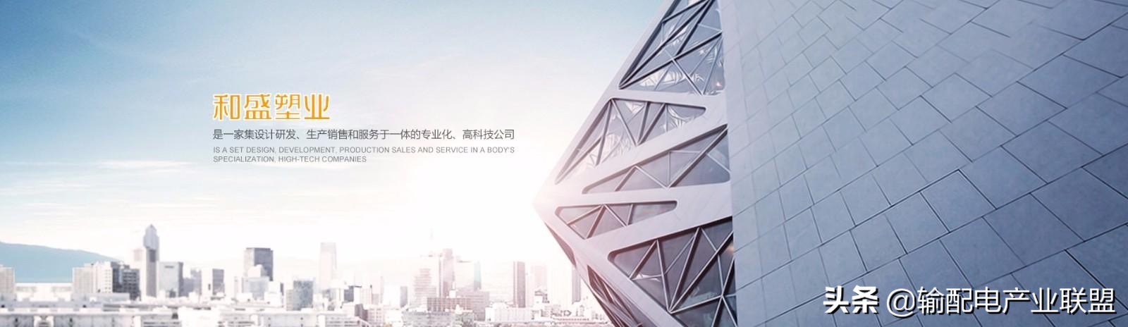 福建和盛塑业有限公司怎么样,福建和盛塑业控股集团有限公司
