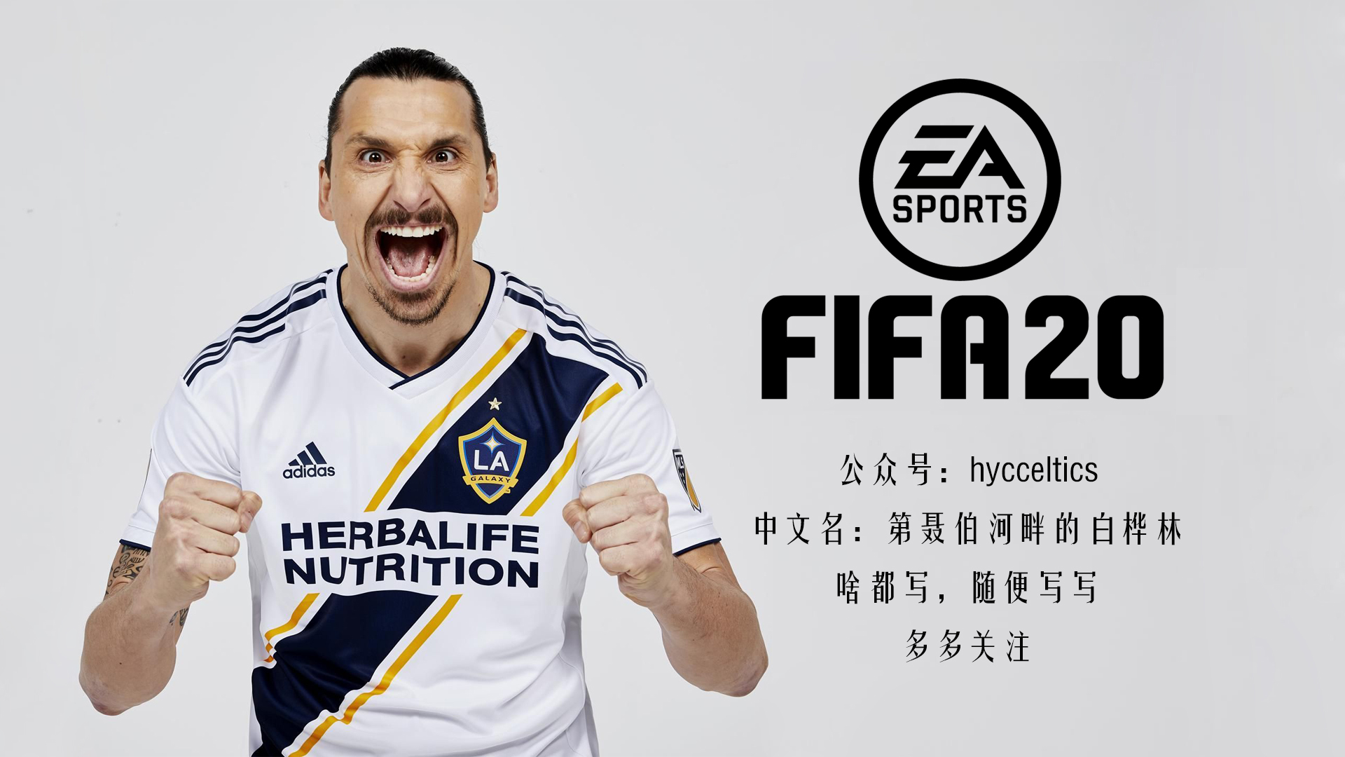 fifa20经理模式有世界杯吗,fifa20个人生涯模式
