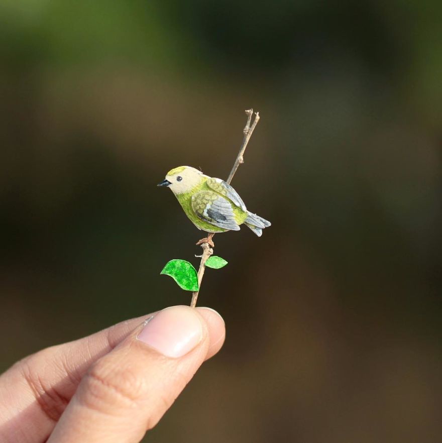制作各种手工鸟,制作纸鸟嘴