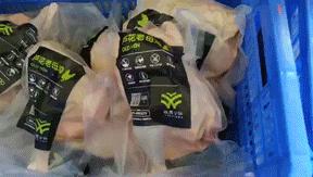 我们在距芜湖70公里的古坝村，找到了向往的生活